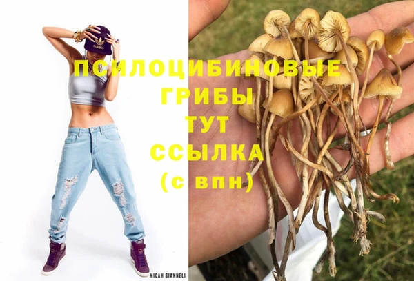 каннабис Алексеевка