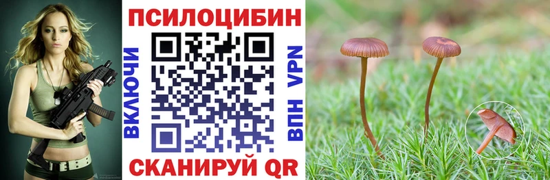 Псилоцибиновые грибы прущие грибы  hydra   Кулебаки 